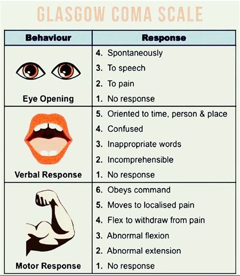 Glasgow Coma Scale (GCS): What It Is, Interpretation。